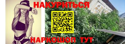 прущие крисы Нарткала