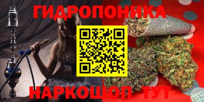 прущие крисы Нарткала